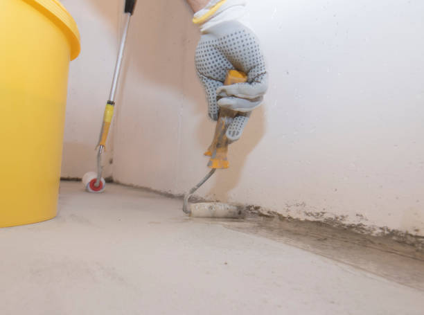 Professional Pest Control in Hillsborough, CA